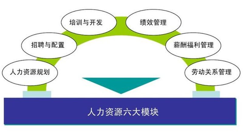 劳务派遣公司合作：流程解析与关键要点**