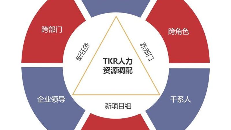 管理潜质测评：揭秘其价值与价格构成**